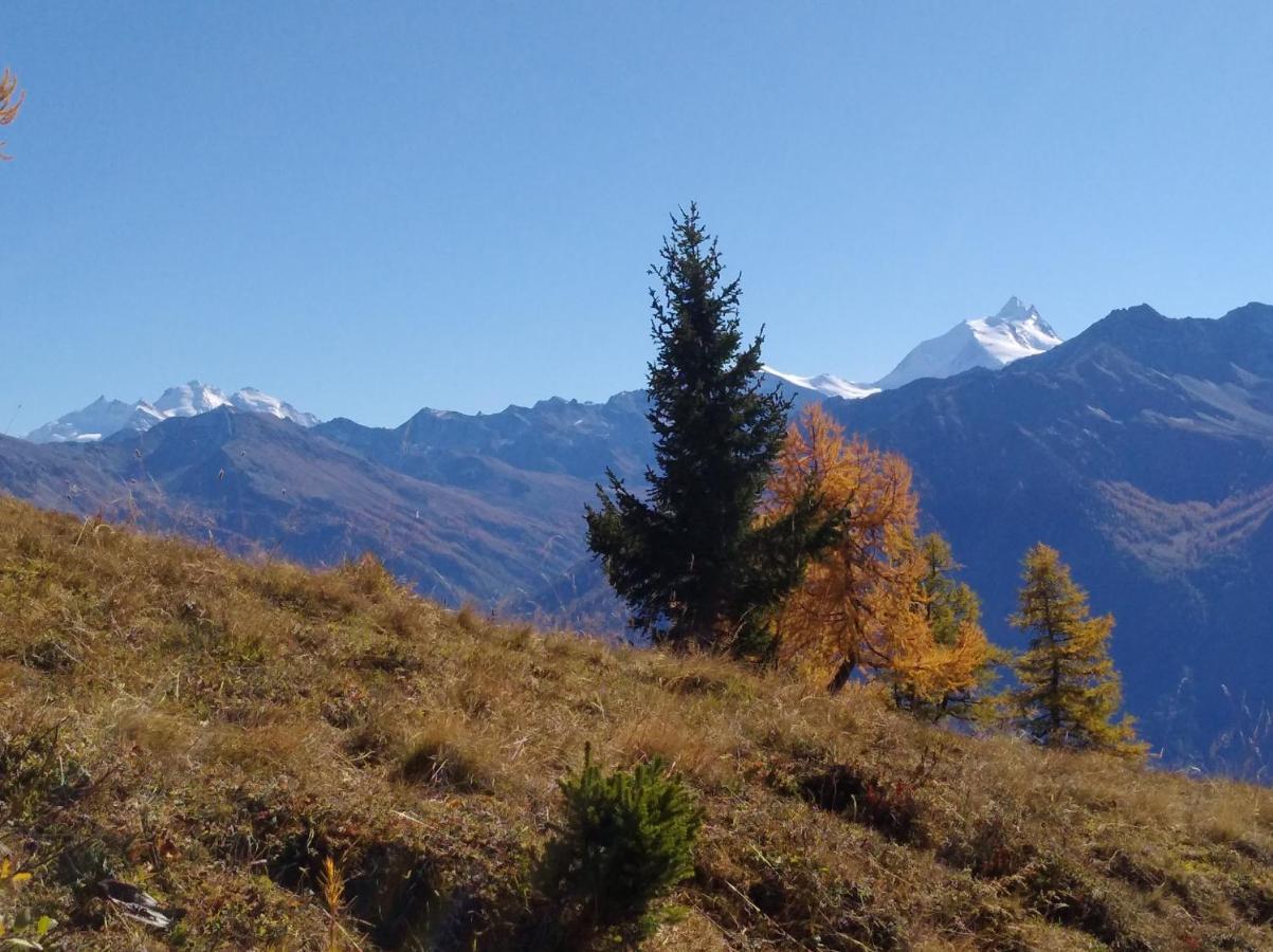 B&B Chalet Rustica Inden, Leukerbad Экстерьер фото